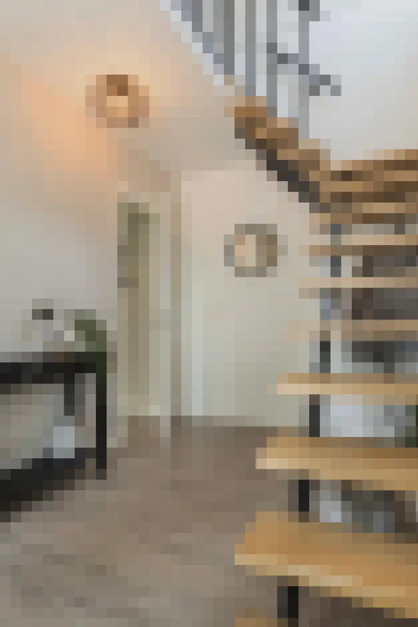 Lijsterbesstraat 1 Losser thumbnail 23