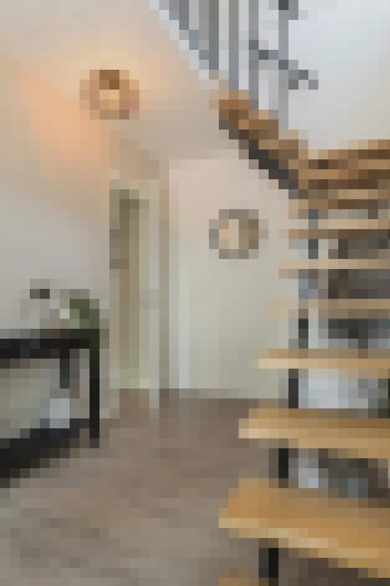 Lijsterbesstraat 1 Losser thumbnail 25