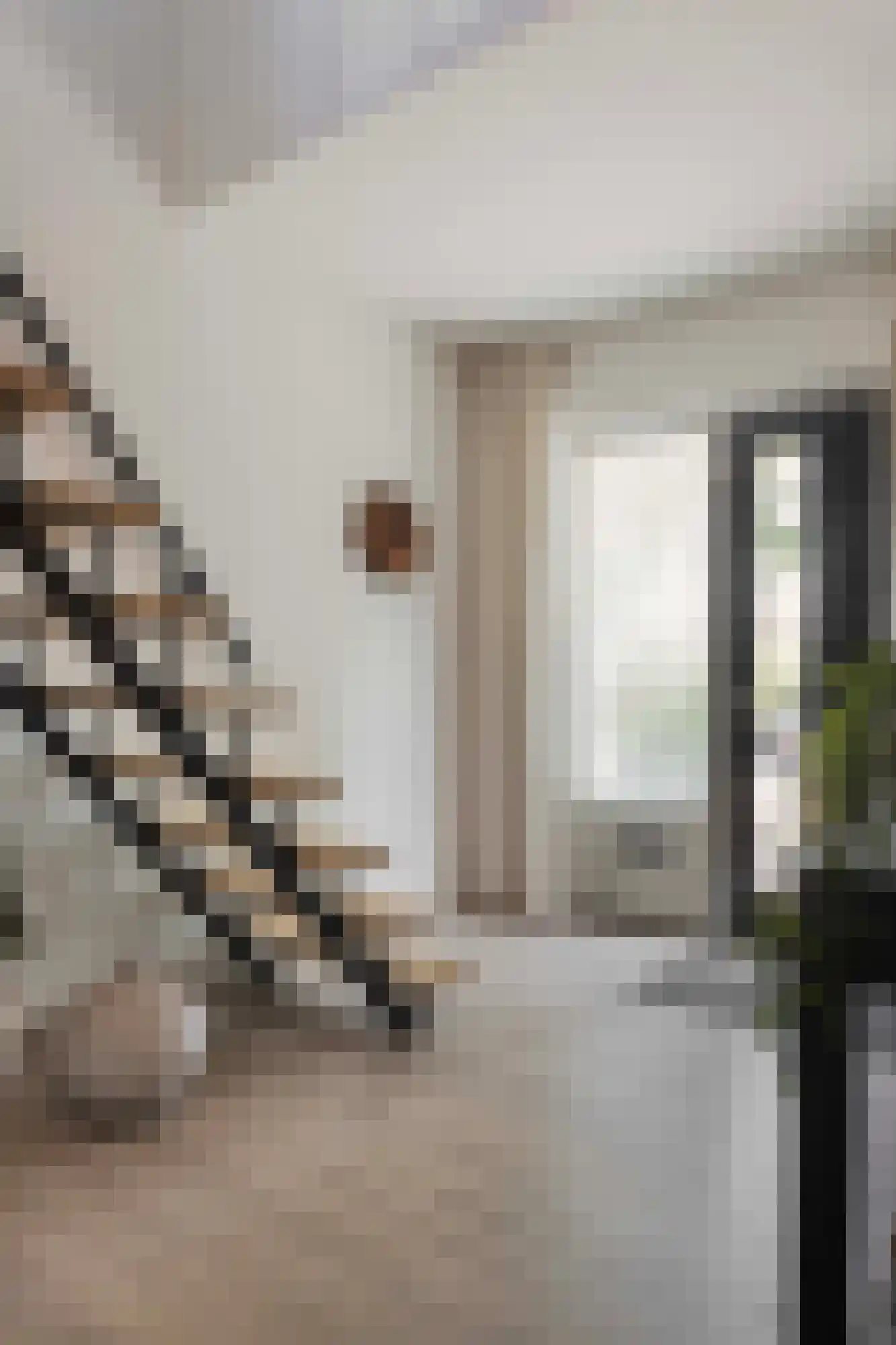 Lijsterbesstraat 1 Losser thumbnail 25