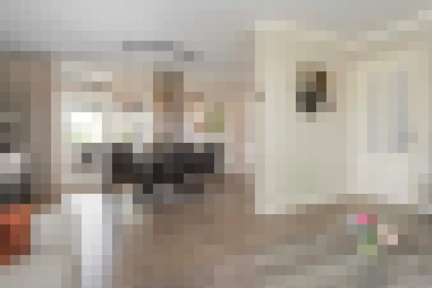 Lijsterbesstraat 1 Losser thumbnail 29