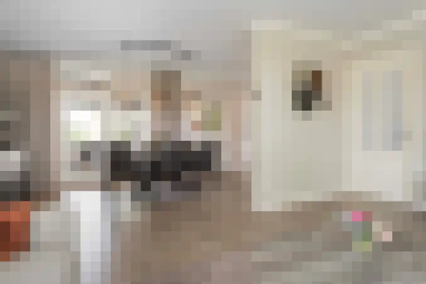 Lijsterbesstraat 1 Losser thumbnail 30