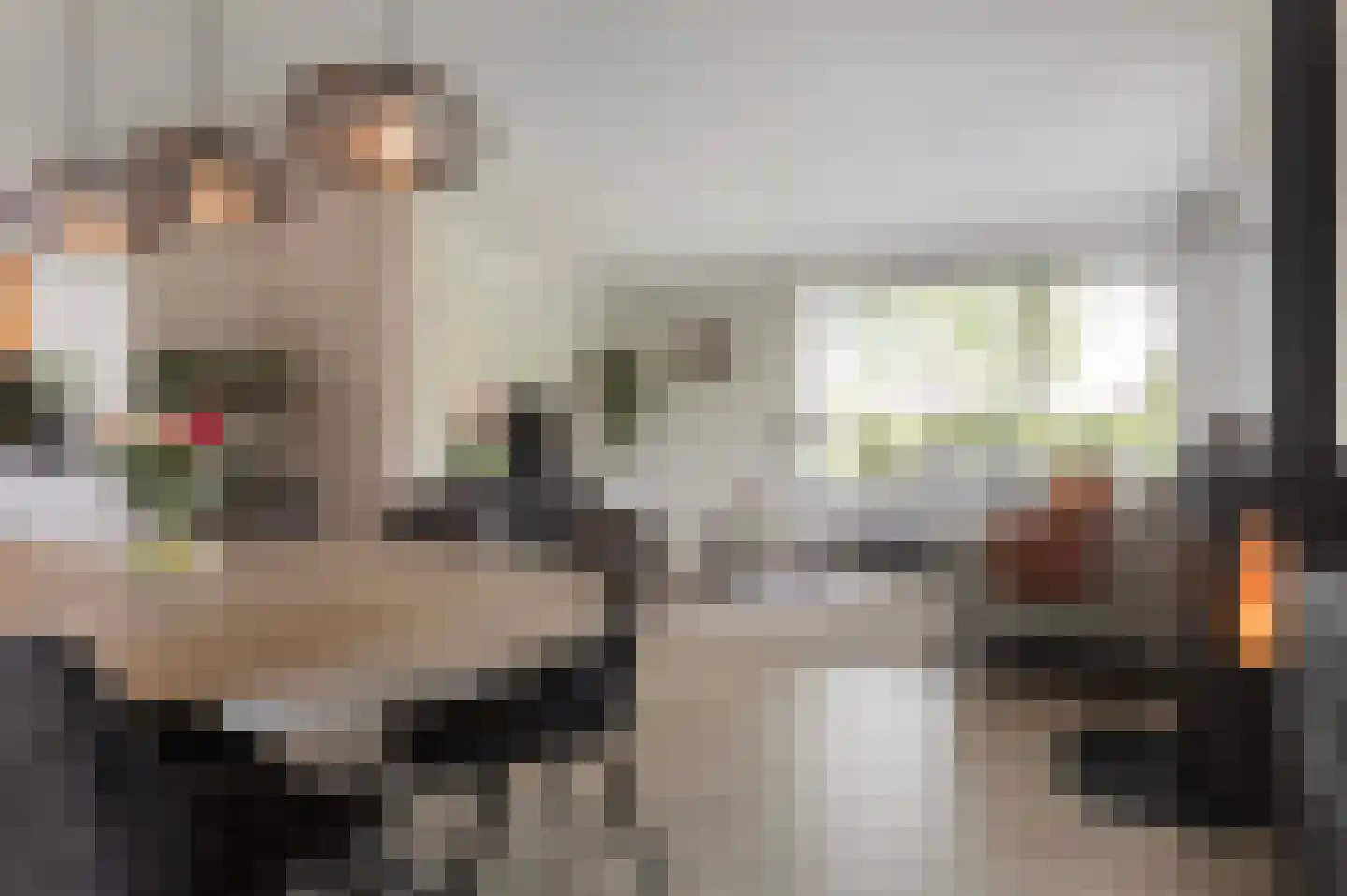 Lijsterbesstraat 1 Losser thumbnail 30