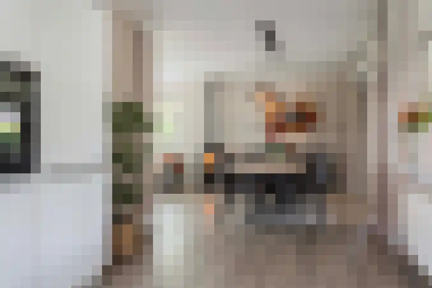 Lijsterbesstraat 1 Losser thumbnail 32