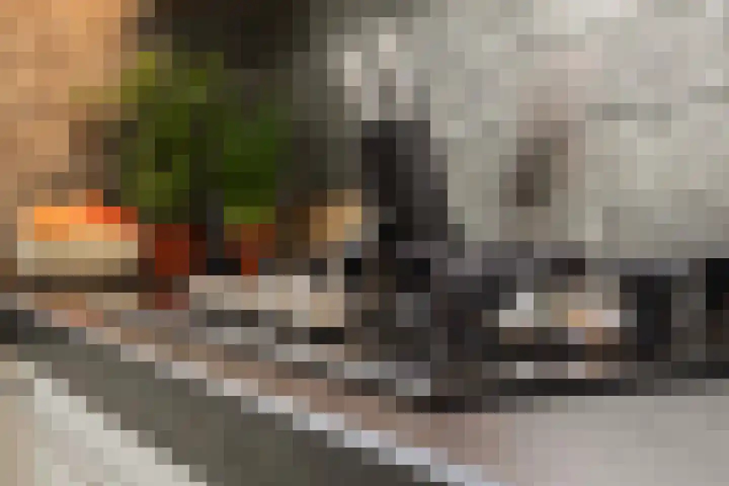 Lijsterbesstraat 1 Losser thumbnail 34