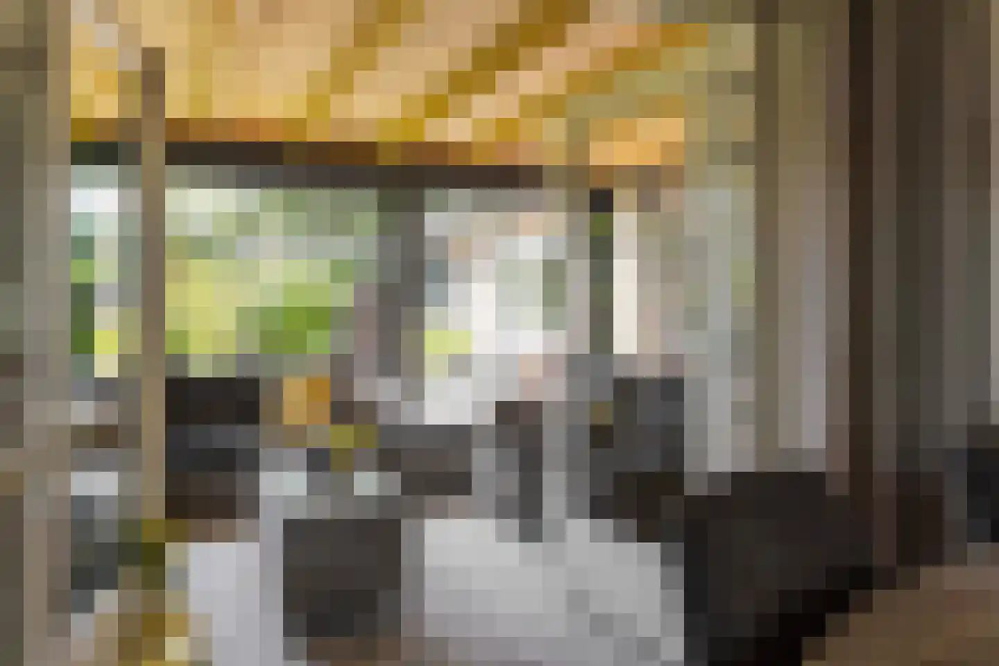 Lijsterbesstraat 1 Losser thumbnail 36