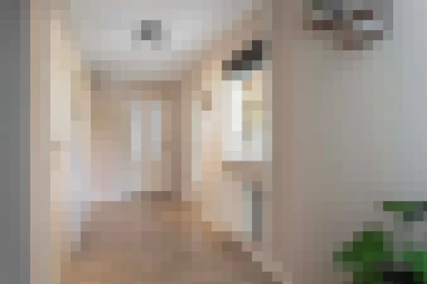 Lijsterbesstraat 1 Losser thumbnail 39