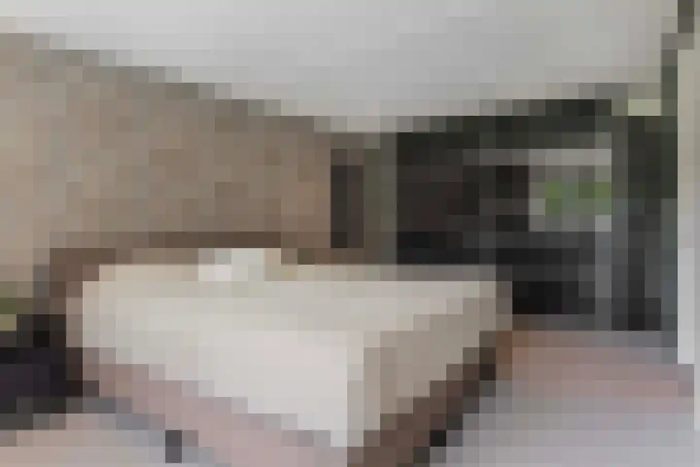 Lijsterbesstraat 1 Losser thumbnail 41