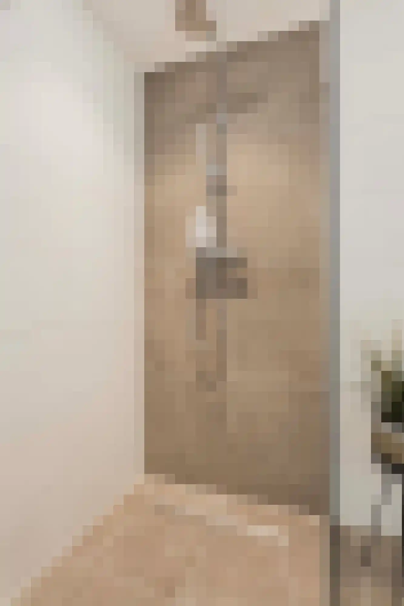 Lijsterbesstraat 1 Losser thumbnail 43
