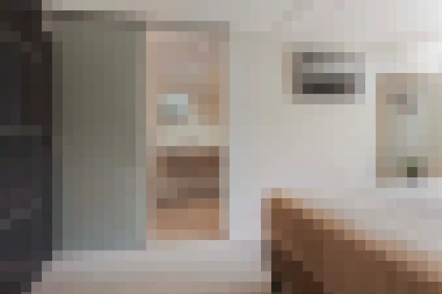 Lijsterbesstraat 1 Losser thumbnail 46