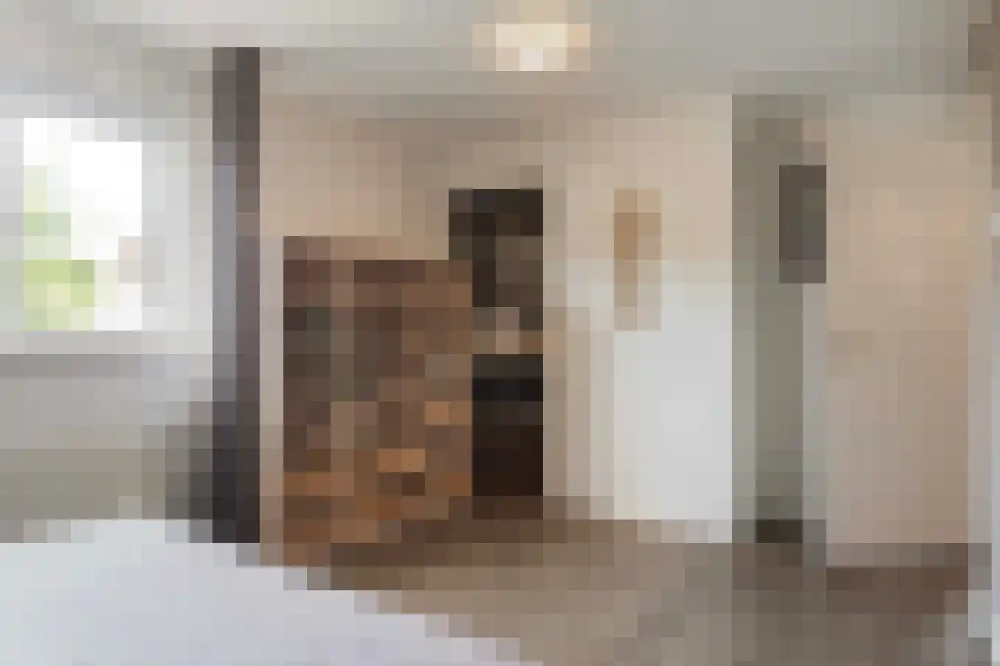 Lijsterbesstraat 1 Losser thumbnail 51