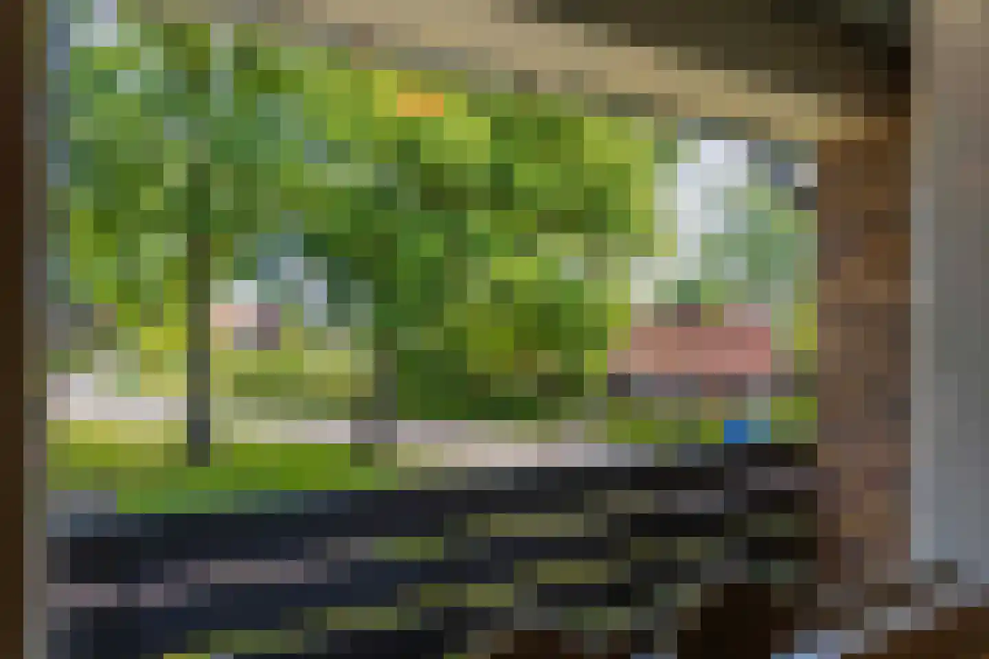 Lijsterbesstraat 1 Losser thumbnail 54