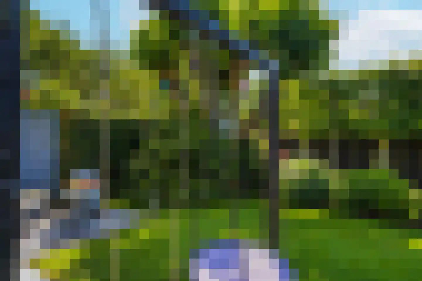 Lijsterbesstraat 1 Losser thumbnail 66