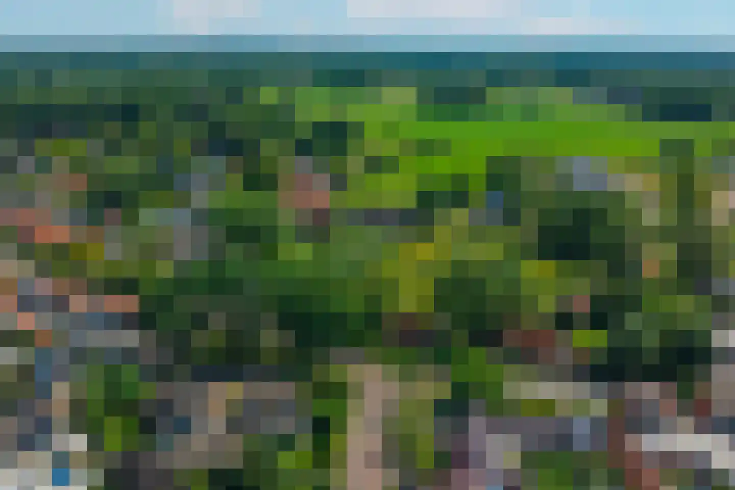 Lijsterbesstraat 1 Losser thumbnail 68