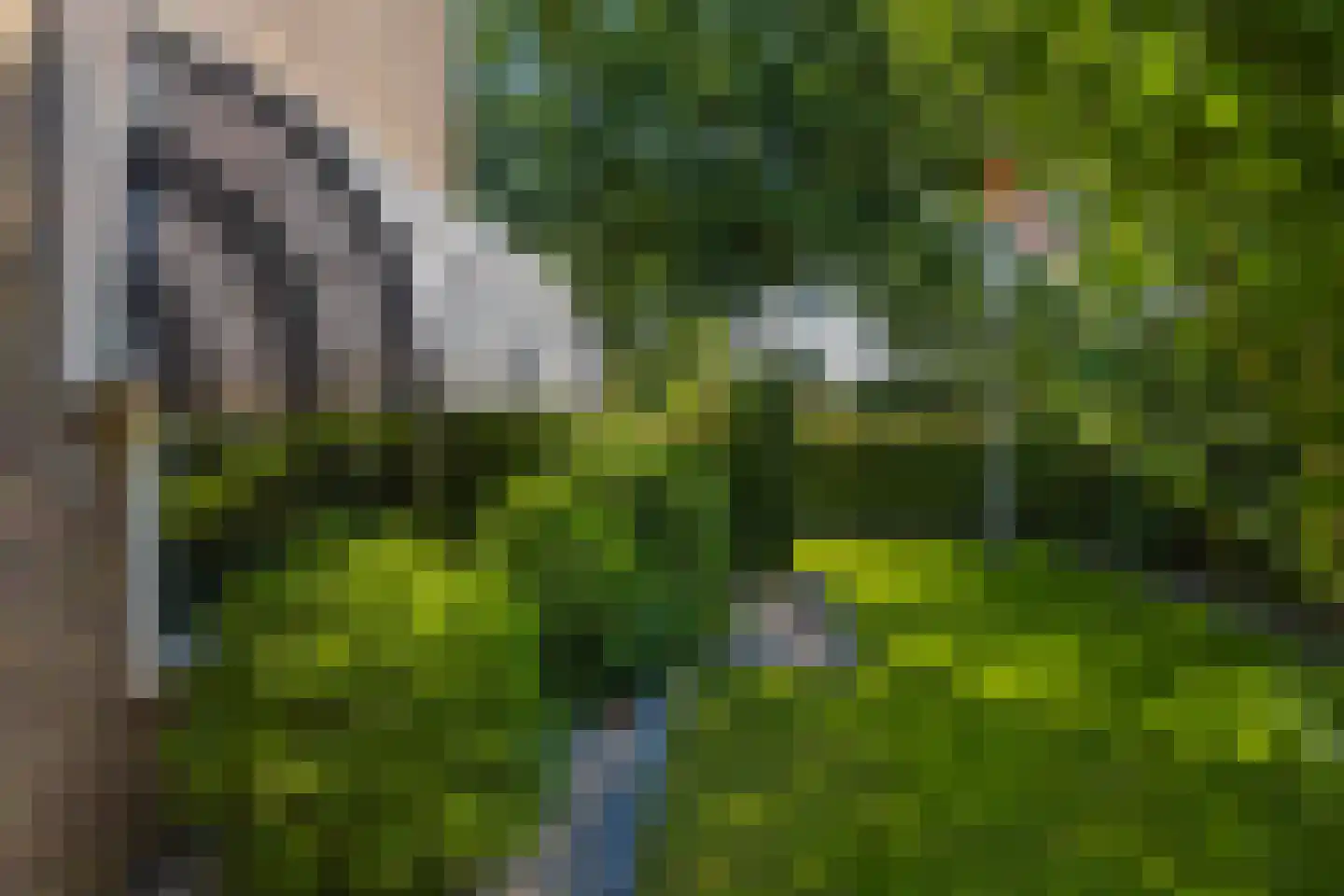 Lijsterbesstraat 1 Losser thumbnail 8