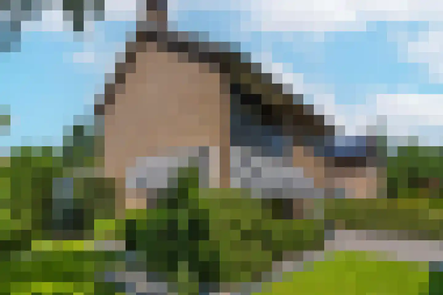 Lijsterbesstraat 1 Losser thumbnail 9