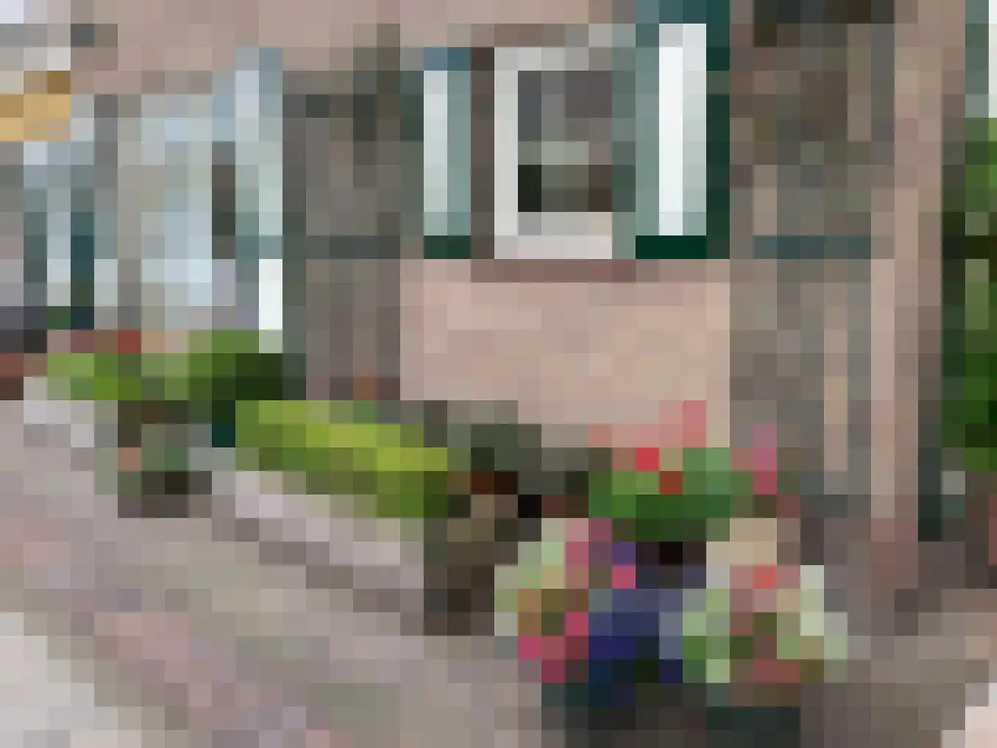 Lijsterbesstraat 1 Oudenbosch thumbnail 10