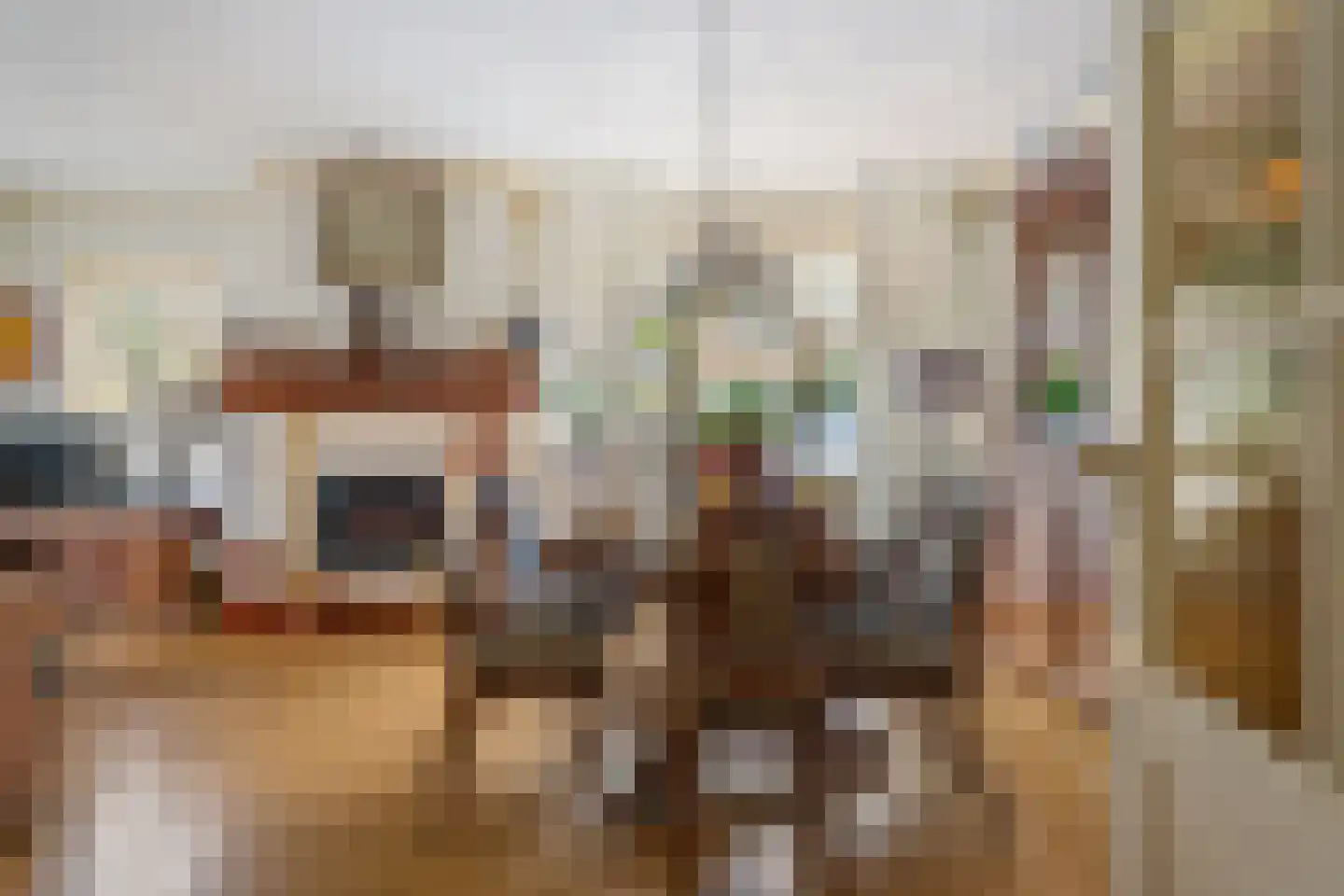 Lijsterbesstraat 1 Oudenbosch thumbnail 11