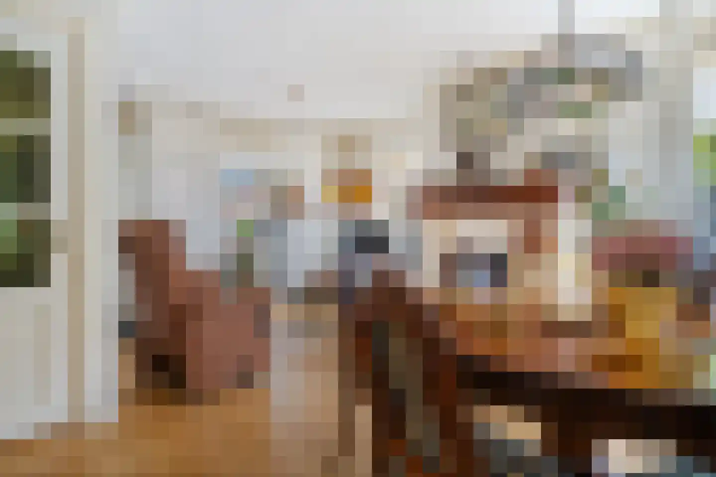 Lijsterbesstraat 1 Oudenbosch thumbnail 12