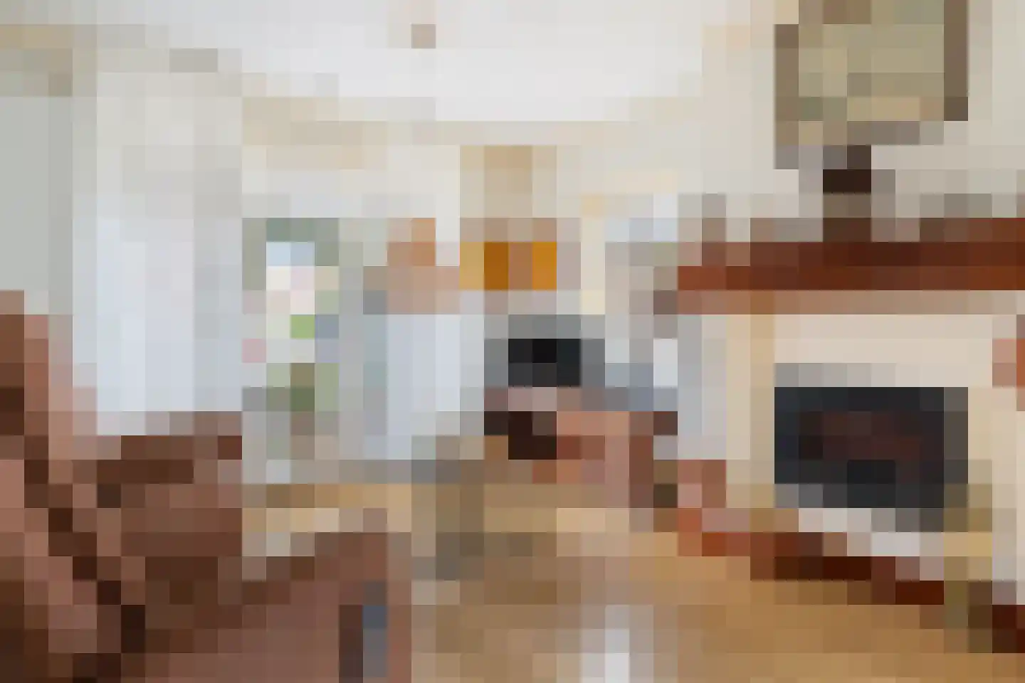 Lijsterbesstraat 1 Oudenbosch thumbnail 13