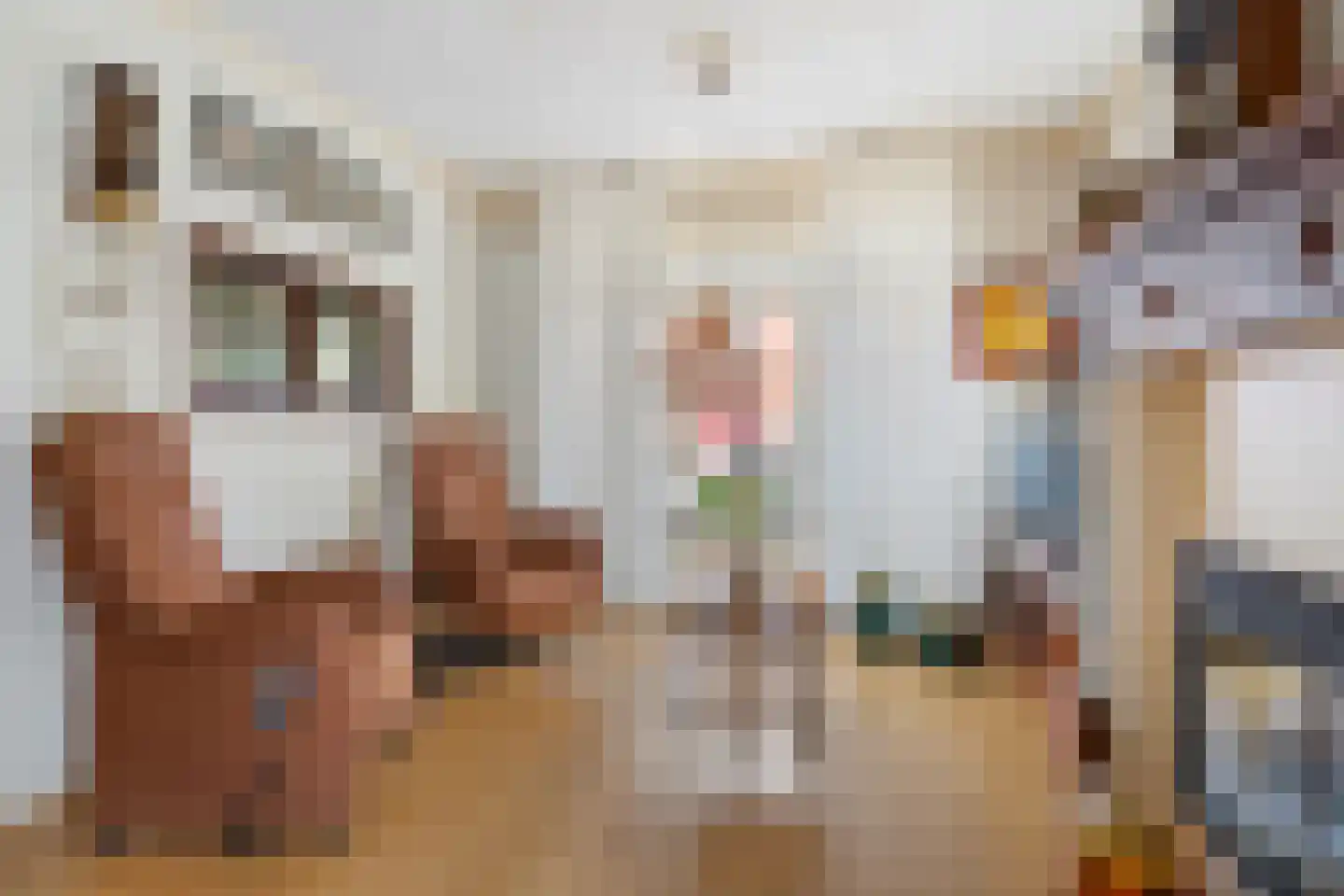 Lijsterbesstraat 1 Oudenbosch thumbnail 14