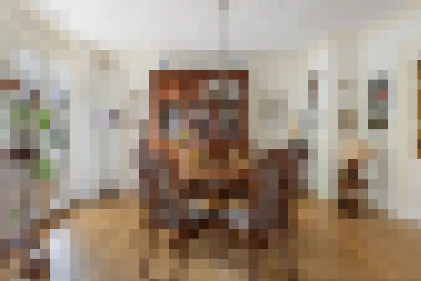 Lijsterbesstraat 1 Oudenbosch thumbnail 16