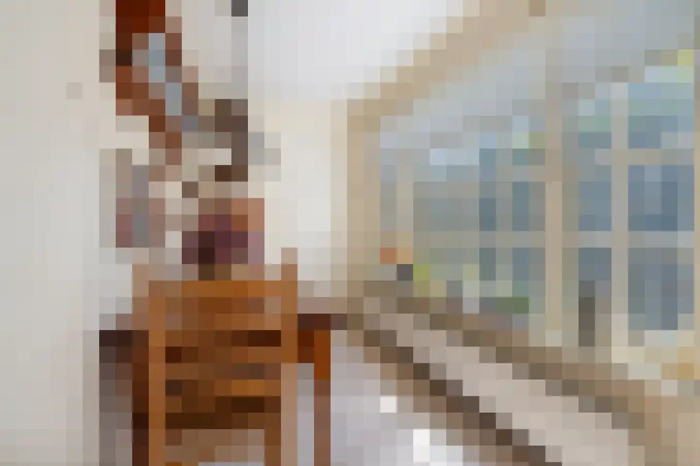 Lijsterbesstraat 1 Oudenbosch thumbnail 19