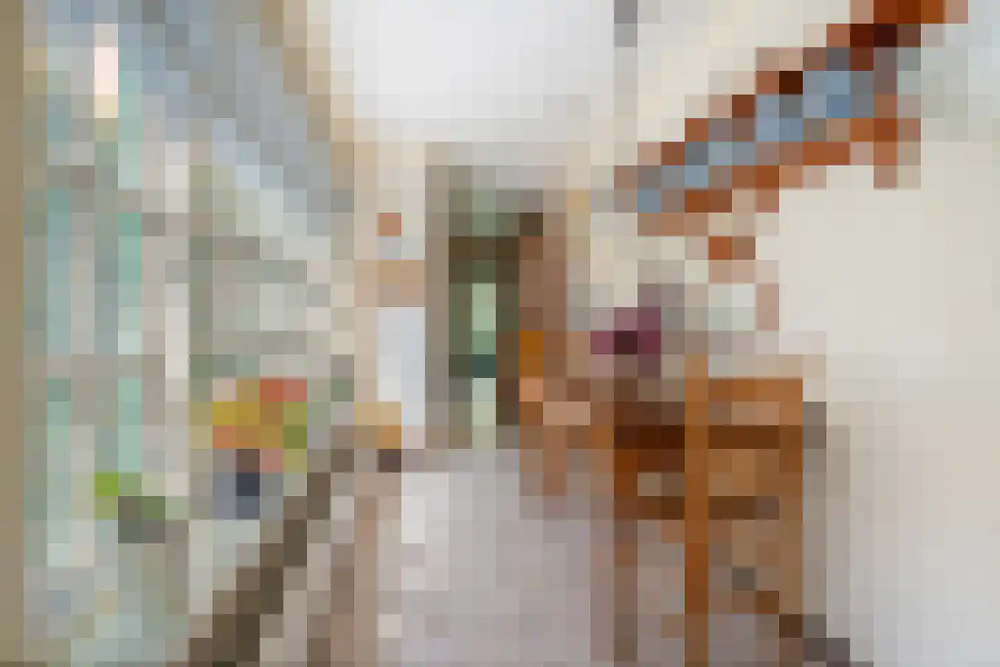 Lijsterbesstraat 1 Oudenbosch thumbnail 20