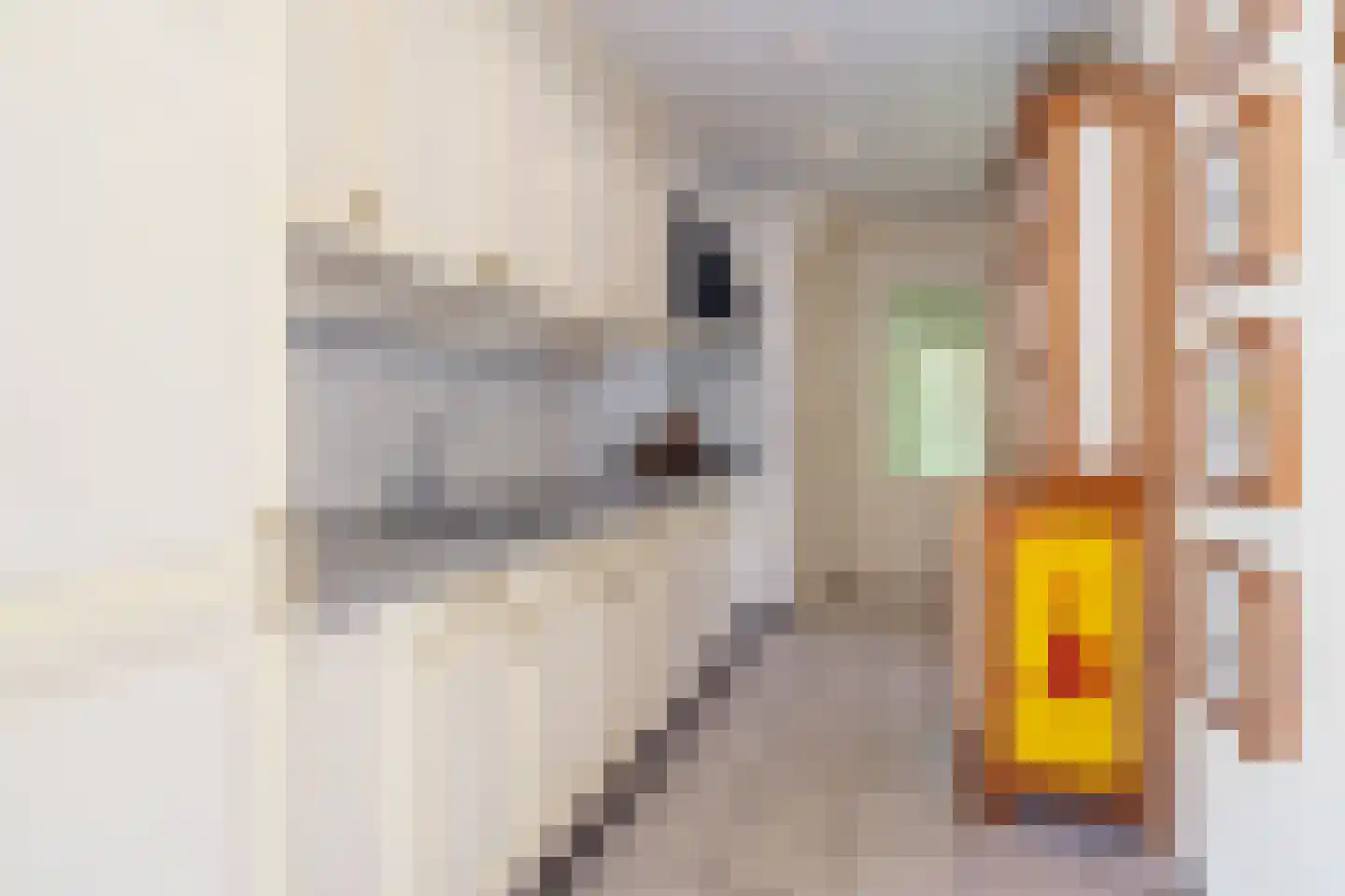 Lijsterbesstraat 1 Oudenbosch thumbnail 21