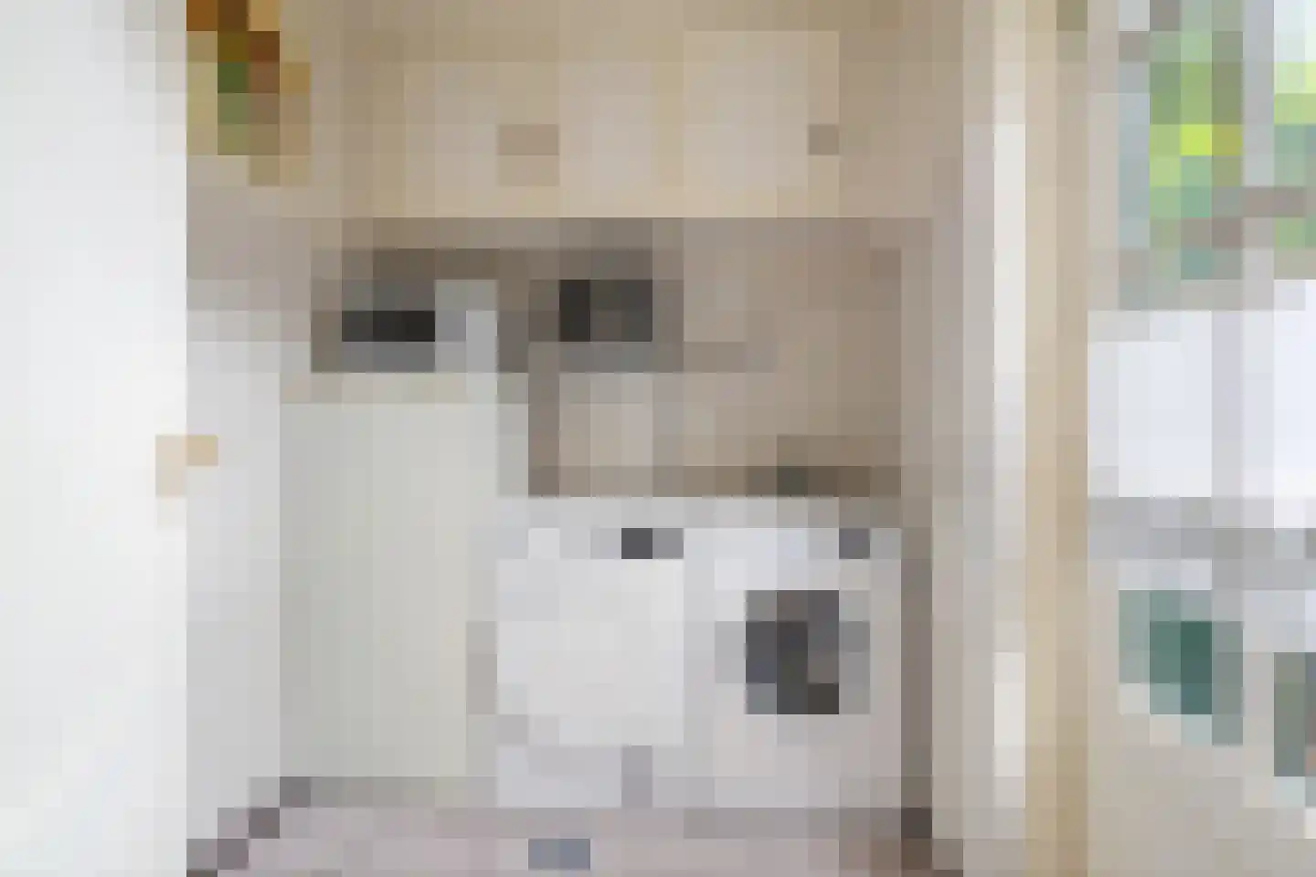 Lijsterbesstraat 1 Oudenbosch thumbnail 22