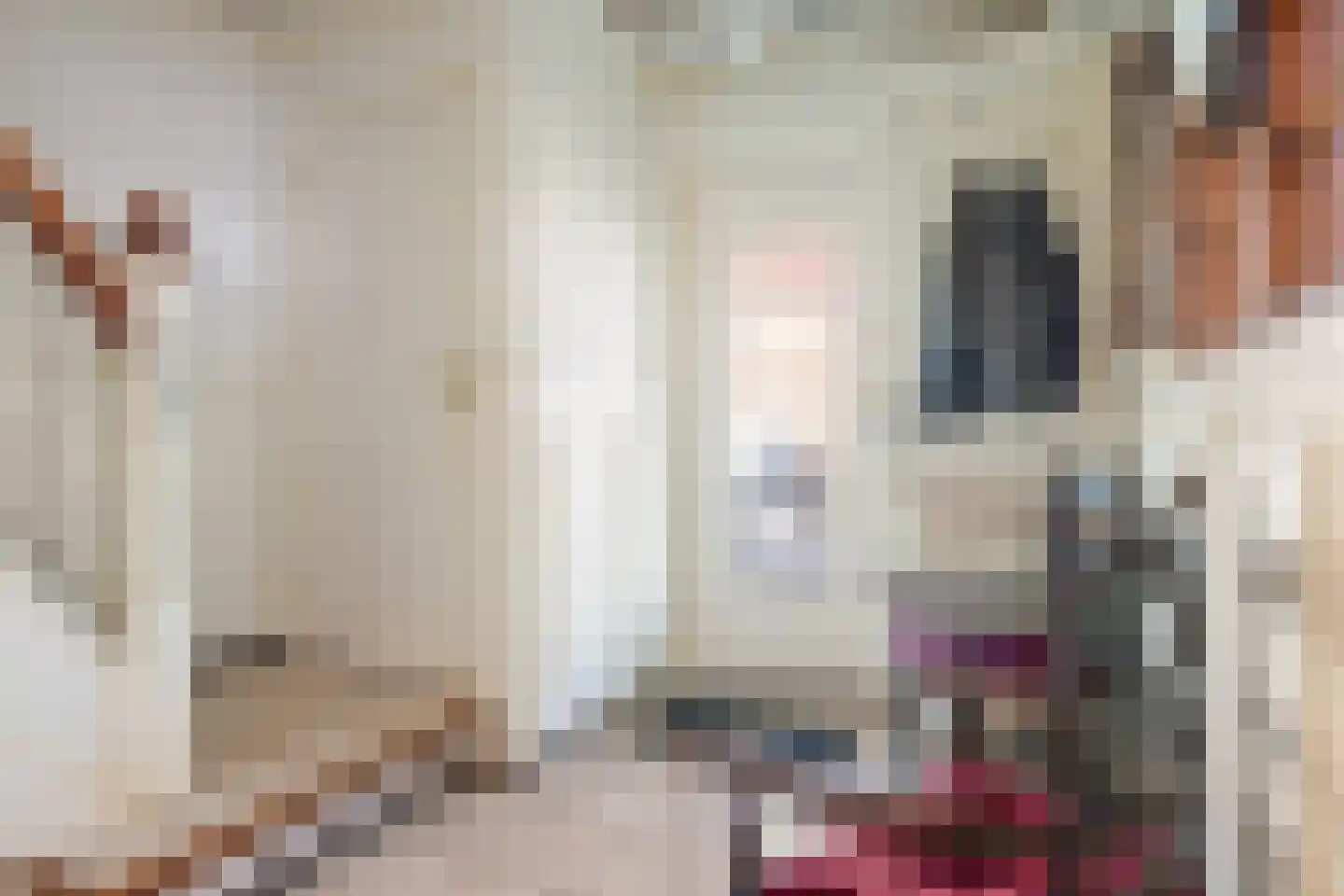 Lijsterbesstraat 1 Oudenbosch thumbnail 23