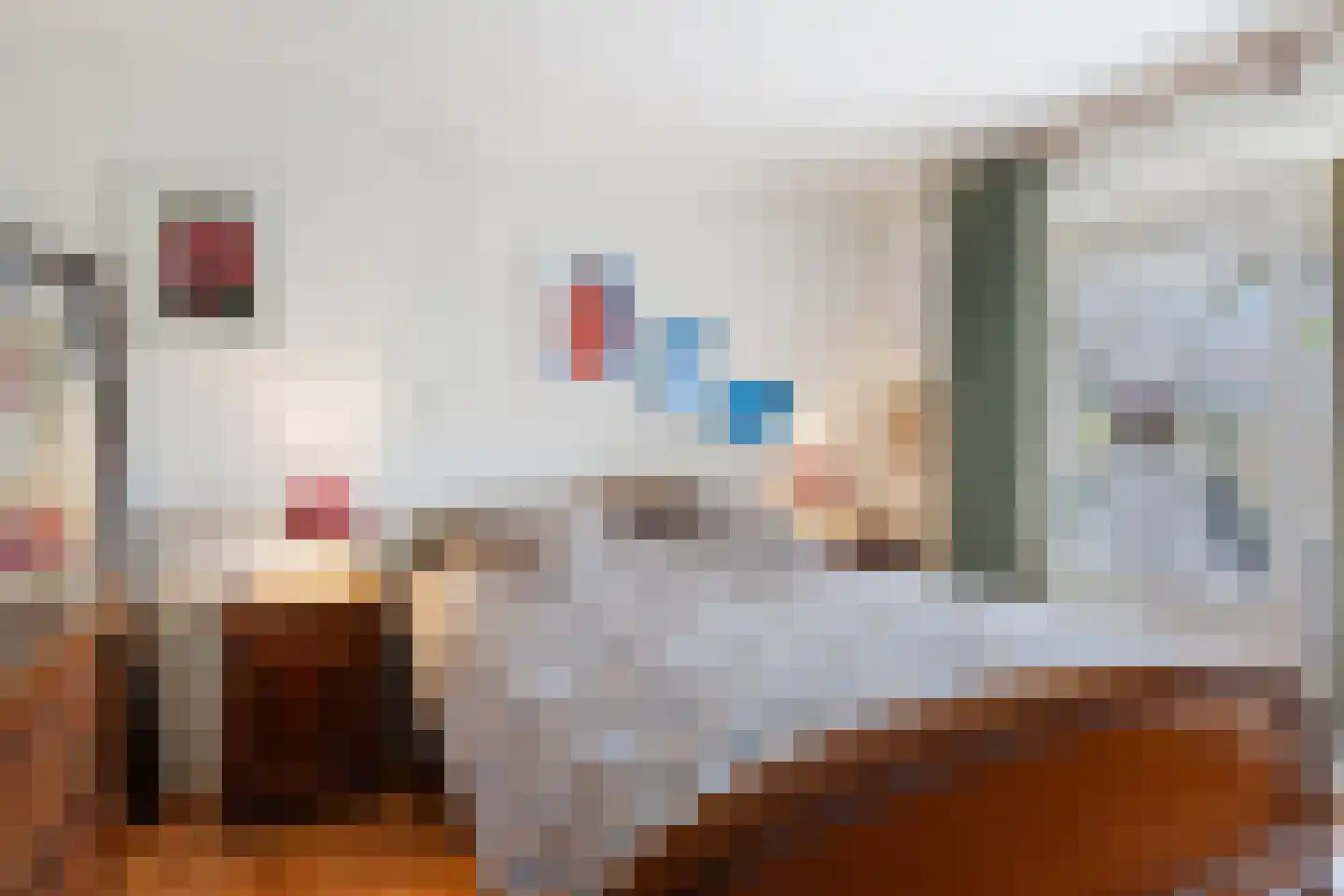 Lijsterbesstraat 1 Oudenbosch thumbnail 29