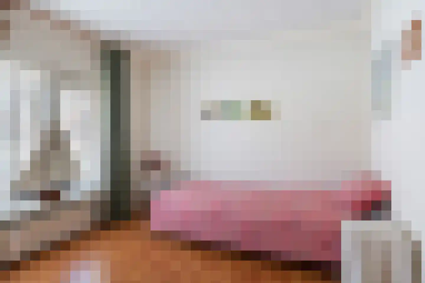 Lijsterbesstraat 1 Oudenbosch thumbnail 31