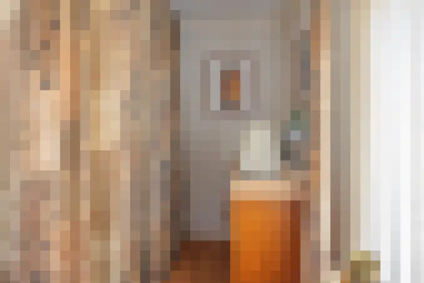 Lijsterbesstraat 1 Oudenbosch thumbnail 34