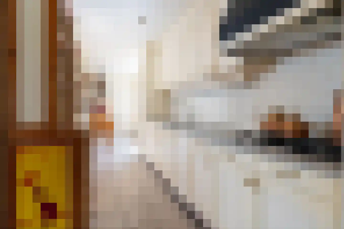 Lijsterbesstraat 1 Oudenbosch thumbnail 4