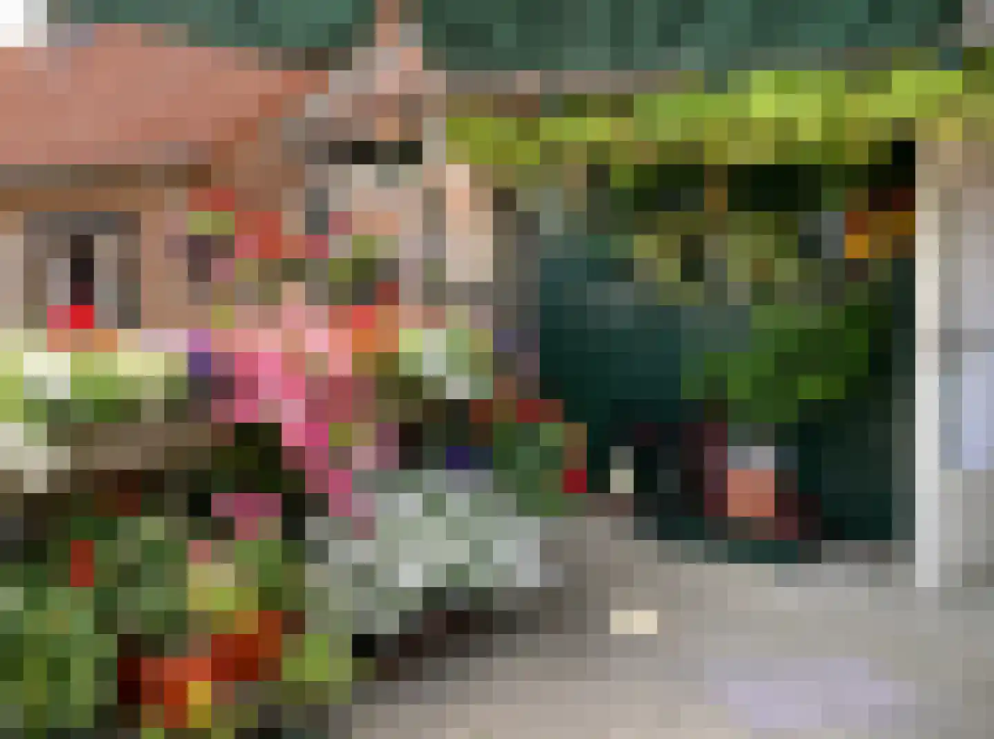 Lijsterbesstraat 1 Oudenbosch thumbnail 41