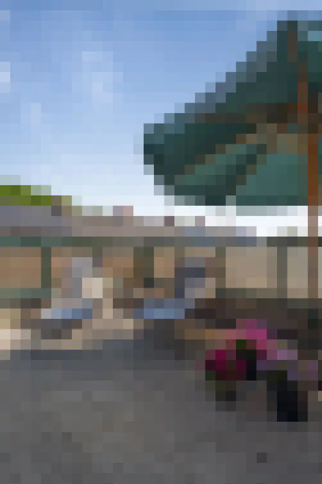 Lijsterbesstraat 1 Oudenbosch thumbnail 43