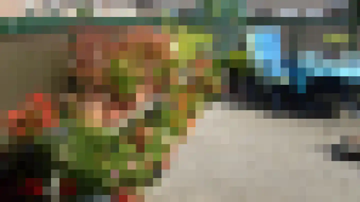 Lijsterbesstraat 1 Oudenbosch thumbnail 44