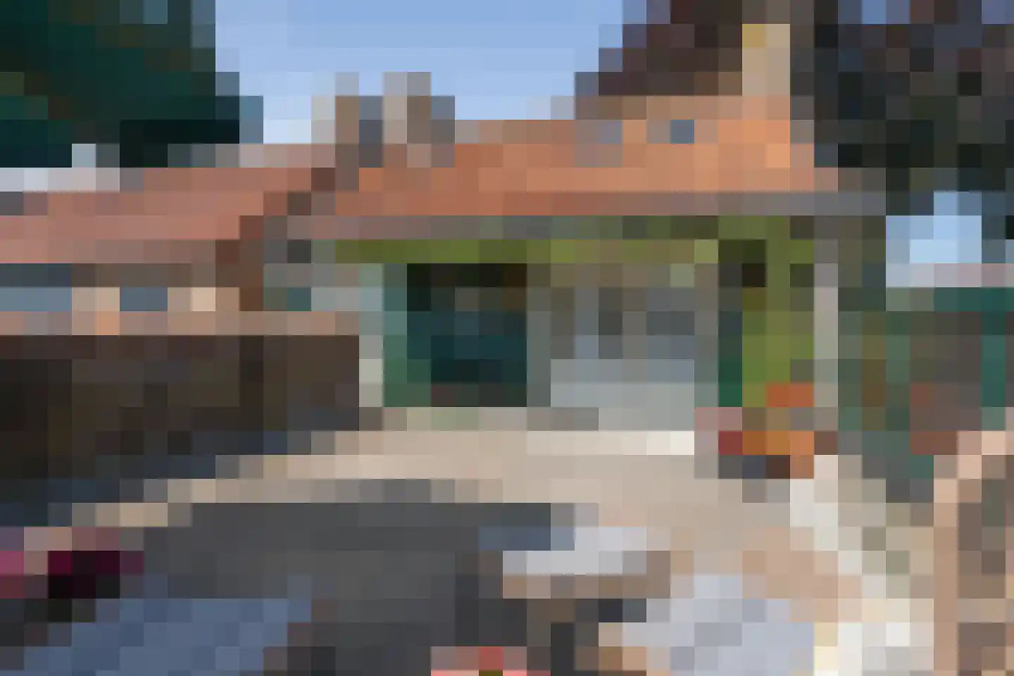 Lijsterbesstraat 1 Oudenbosch thumbnail 45