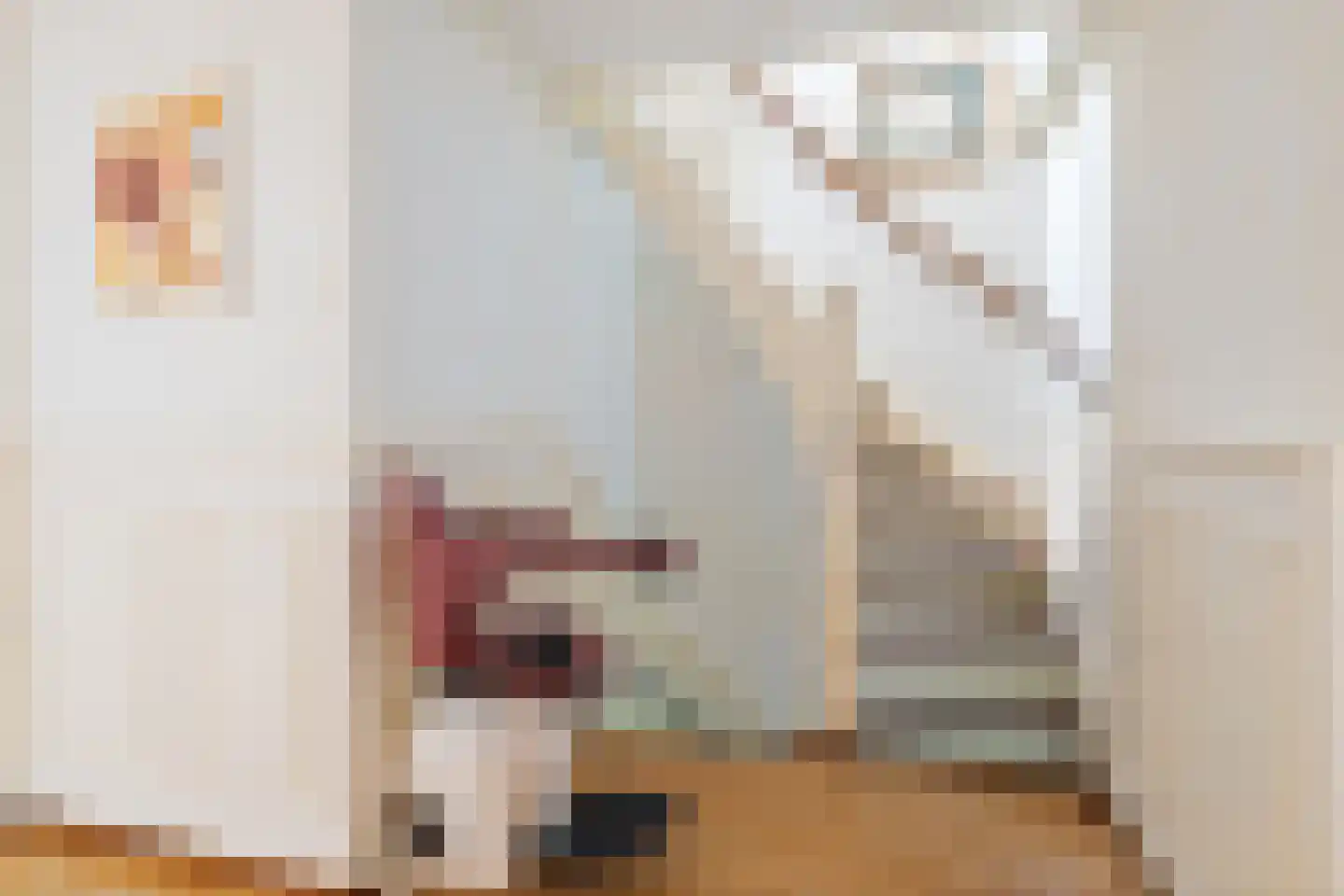 Lijsterbesstraat 1 Oudenbosch thumbnail 48