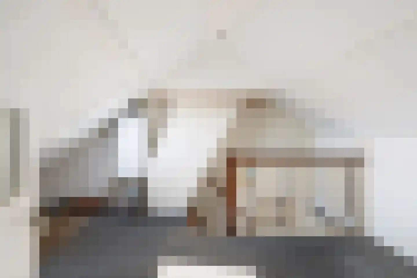 Lijsterbesstraat 1 Oudenbosch thumbnail 50