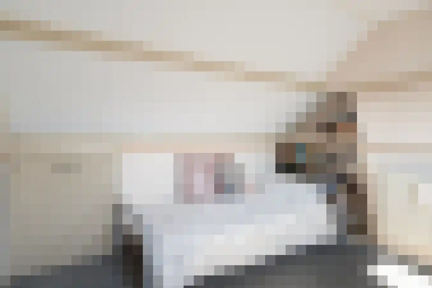 Lijsterbesstraat 1 Oudenbosch thumbnail 52