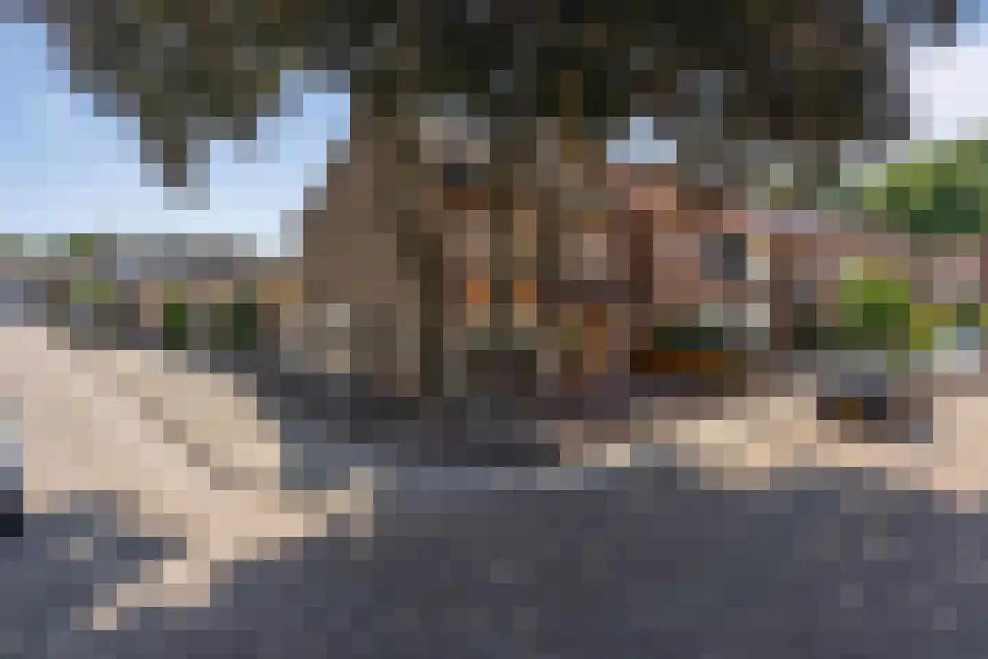 Lijsterbesstraat 1 Oudenbosch thumbnail 55