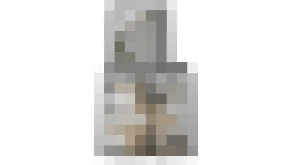 Lijsterbesstraat 1 Oudenbosch thumbnail 56