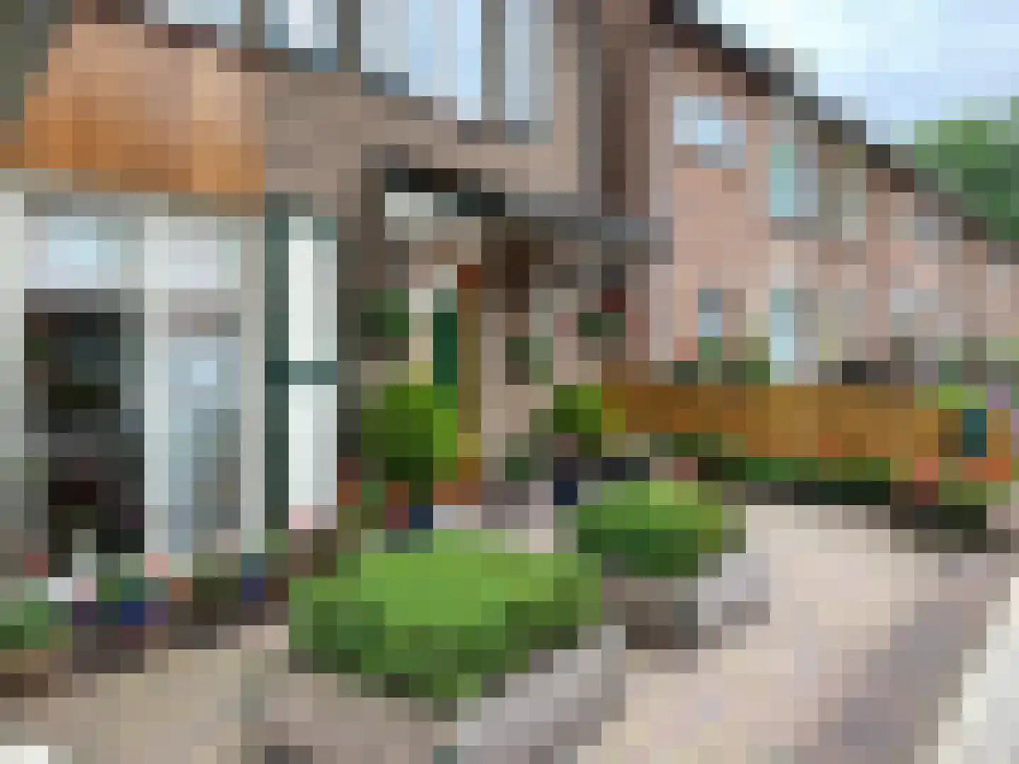 Lijsterbesstraat 1 Oudenbosch thumbnail 8
