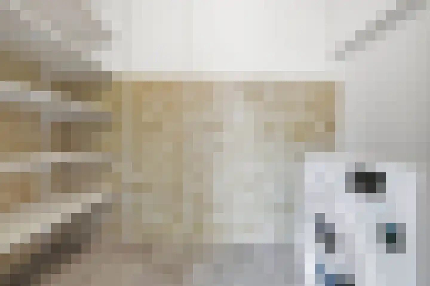Lijsterbesstraat 10 Beek thumbnail 11