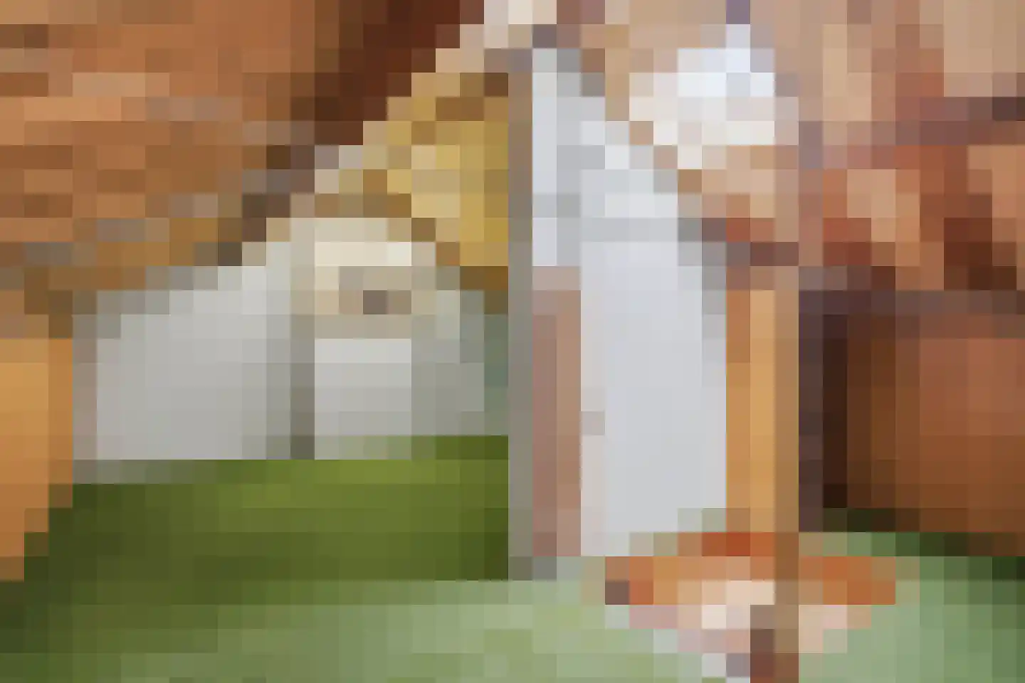 Lijsterbesstraat 10 Beek thumbnail 20