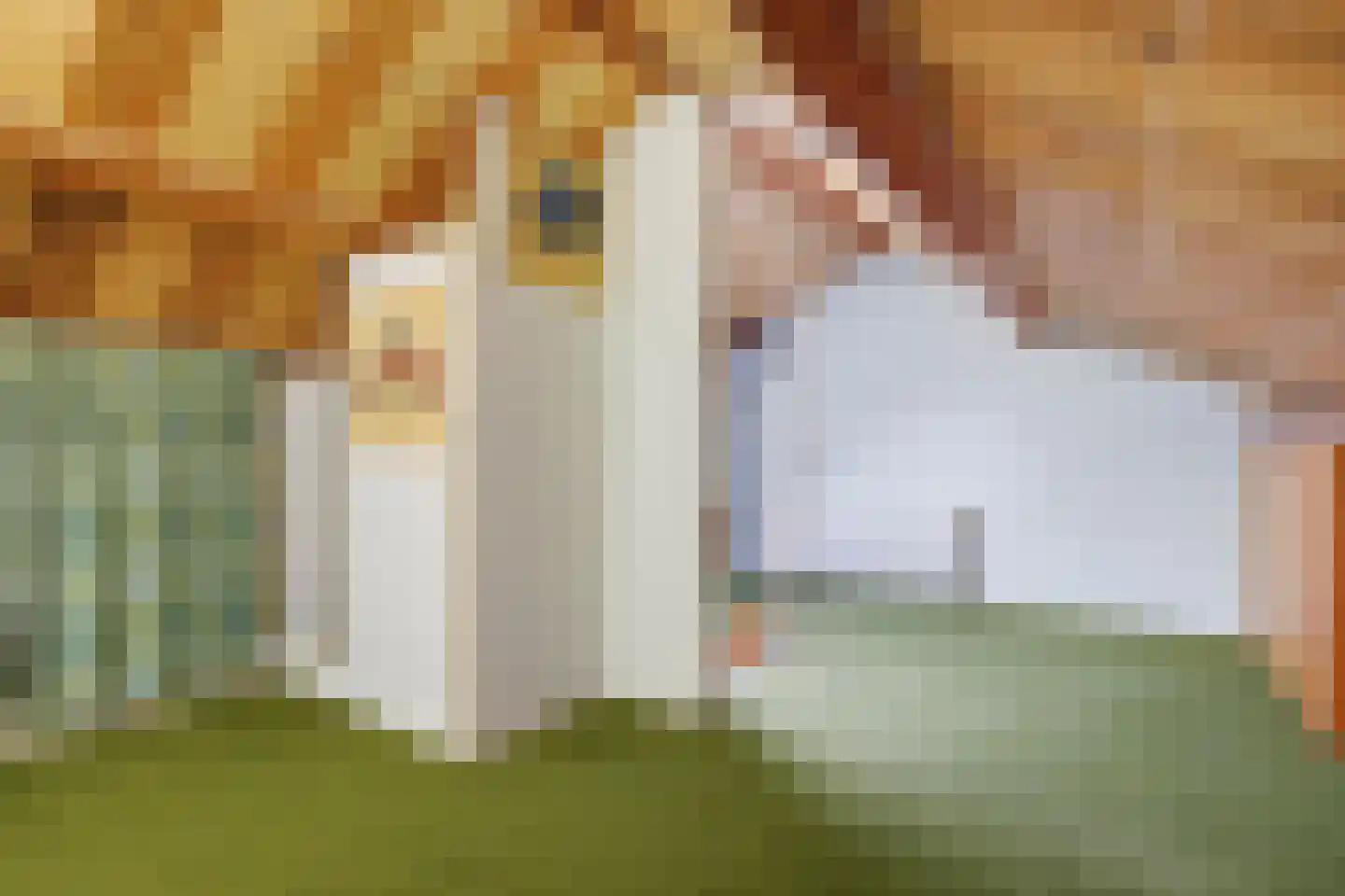Lijsterbesstraat 10 Beek thumbnail 21