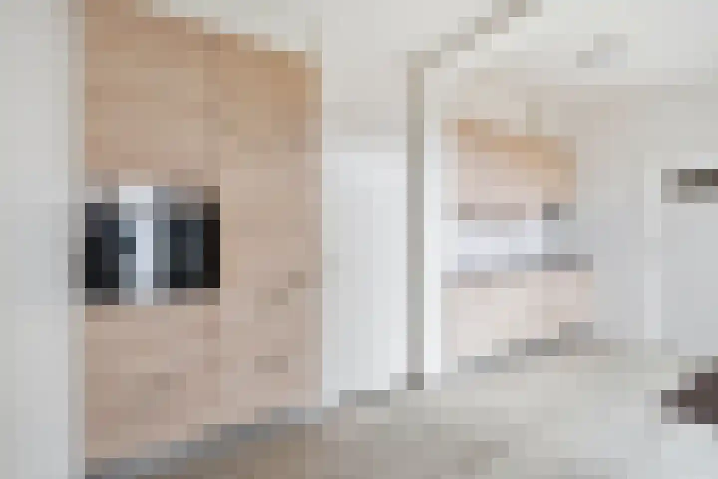 Lijsterbesstraat 10 Beek thumbnail 6