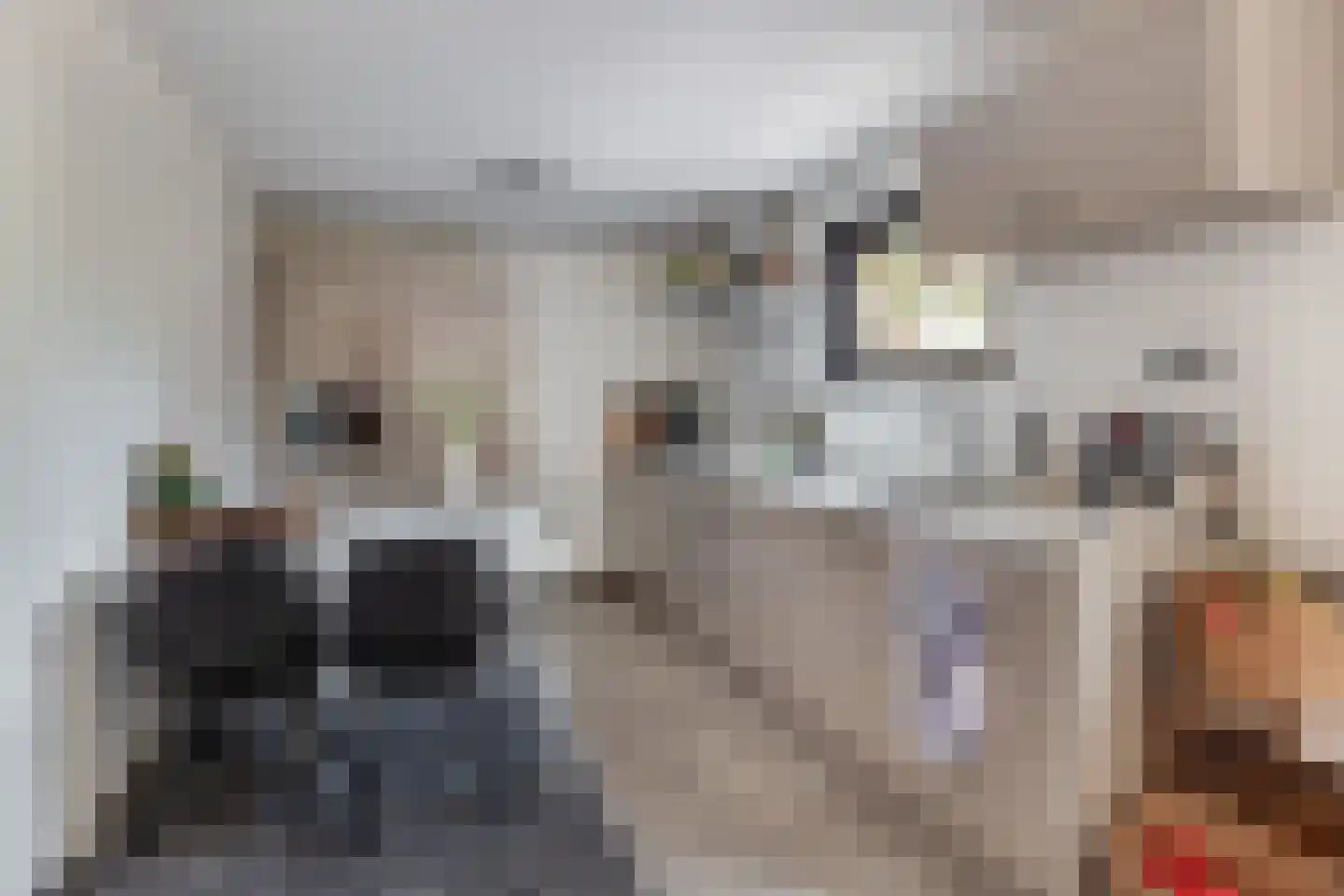 Lijsterbesstraat 10 Veghel thumbnail 10