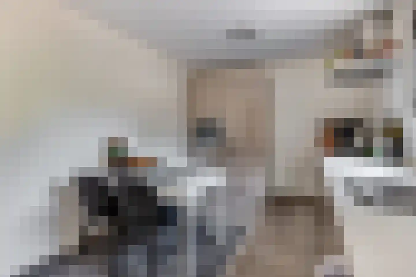 Lijsterbesstraat 10 Veghel thumbnail 11